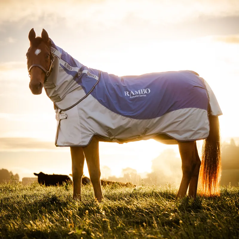 Horseware Rambo Autumn Series Detach-A-Neck Turnout Rug  - Navy/Grey